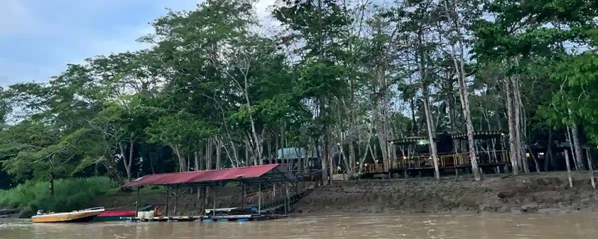 Malaysia The Jungles of Borneo-1